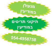 מנעולן במודיעין